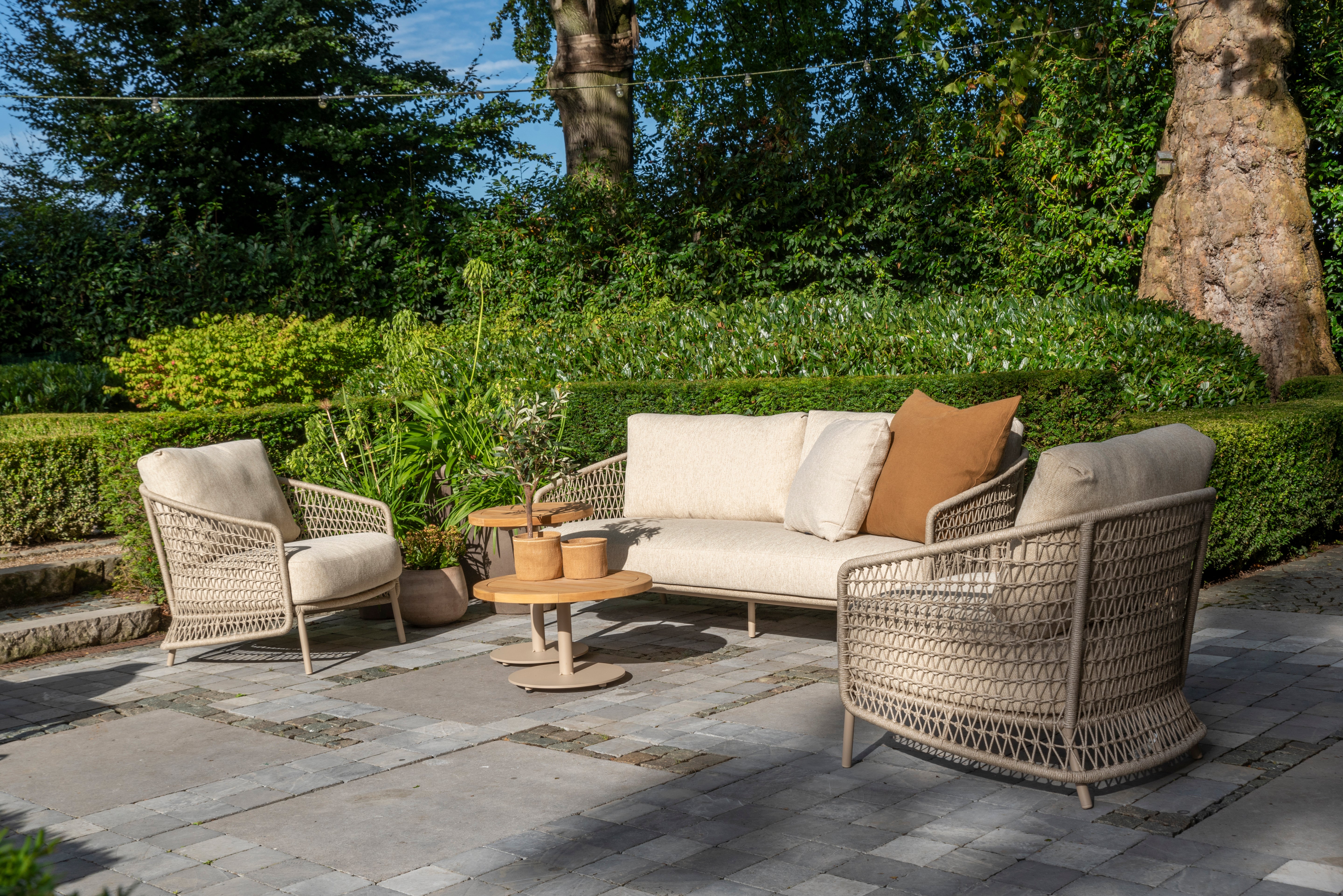 Puccini dining set latte with Estate mango shape dining table latte 240 x 150 cm - Lifestyle