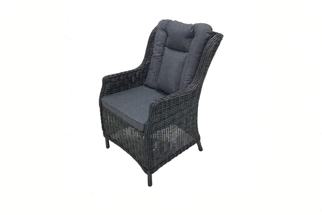 PaZoon Esszimmerstuhl grau